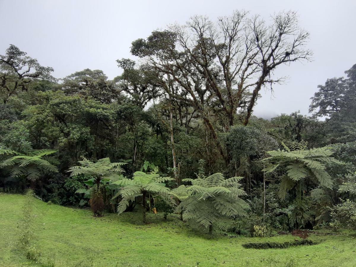 Mindo Loma Bird Lodge Luaran gambar